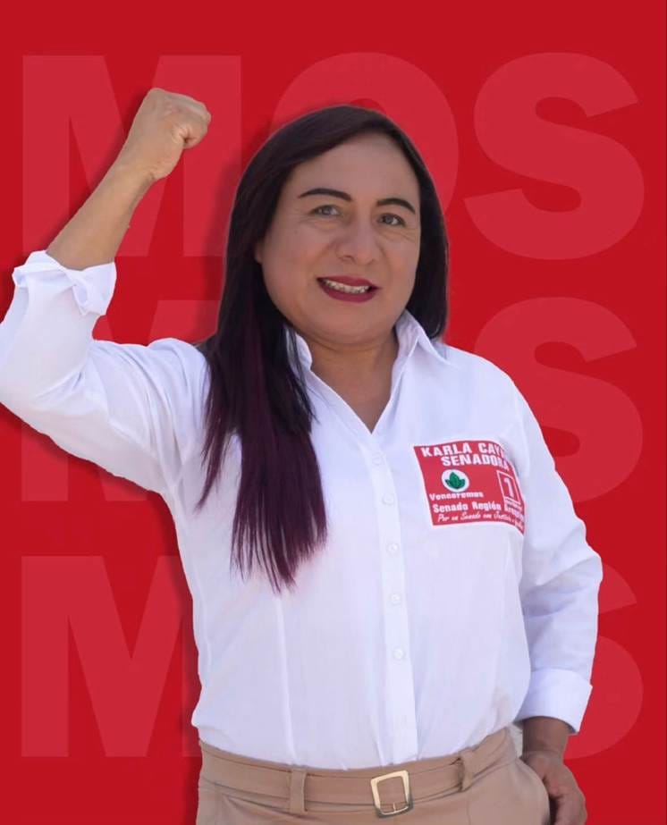 Picture of Karla Cayani's campaign poster.