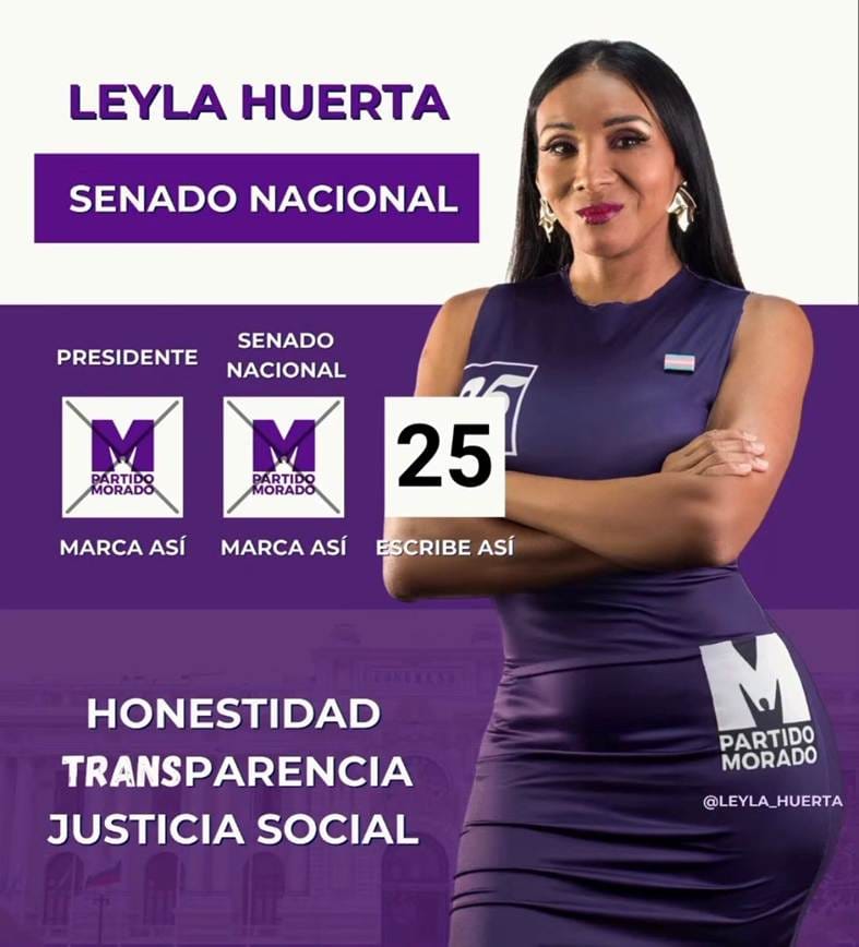 Picture of Leyla Huerta's campaign poster.